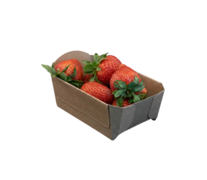 kartonnen fruitbakjes