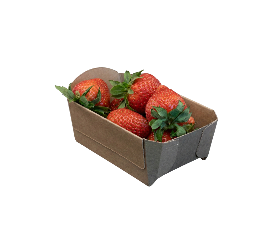 kartonnen fruitbakjes